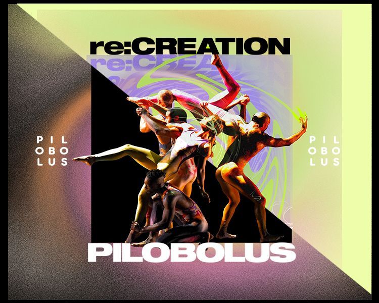 Album cover for Pilobolus’s re:CREATION, with colorful dancers on a black and neon backdrop