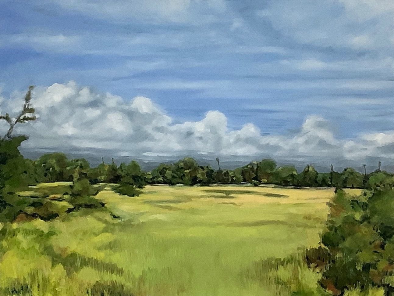 Grassy field under a cloudy blue sky, bordered by trees and shrubs.