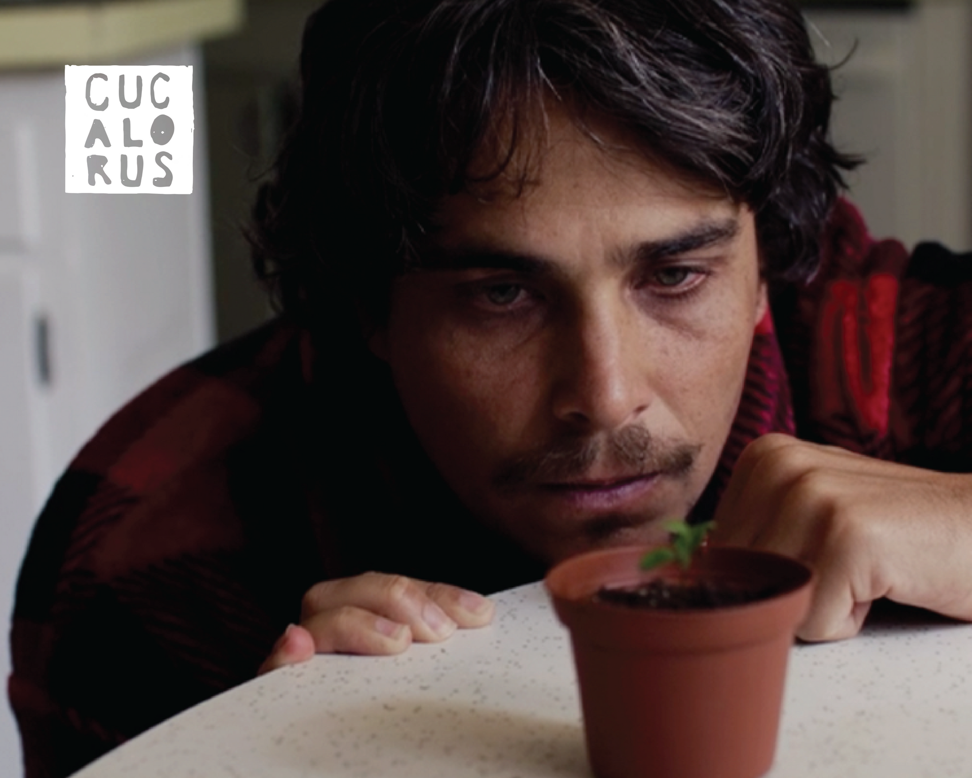 Man lying on a table, staring at a small potted plant, with a focused expression.