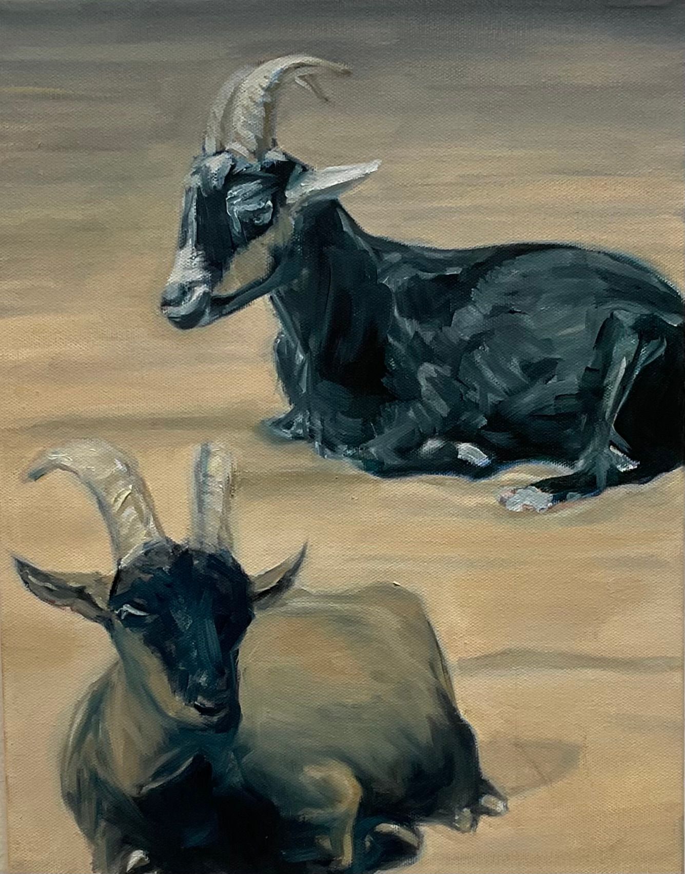 Two black goats resting on sandy ground, one in the foreground and one behind it.