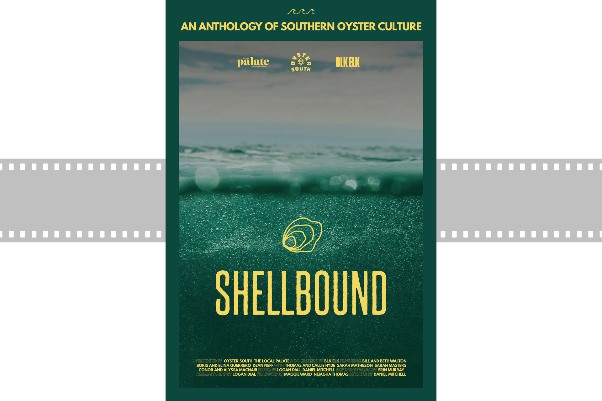 Book cover for Shellbound, featuring a teal sea and a dark green background with gold lettering.