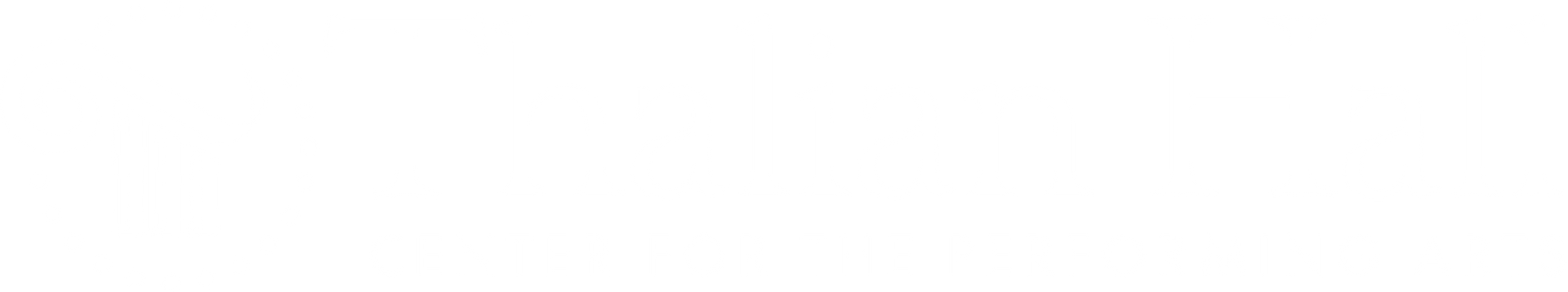 Thin black horizontal line centered on a white background.