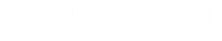 Thin black horizontal line centered on a white background.