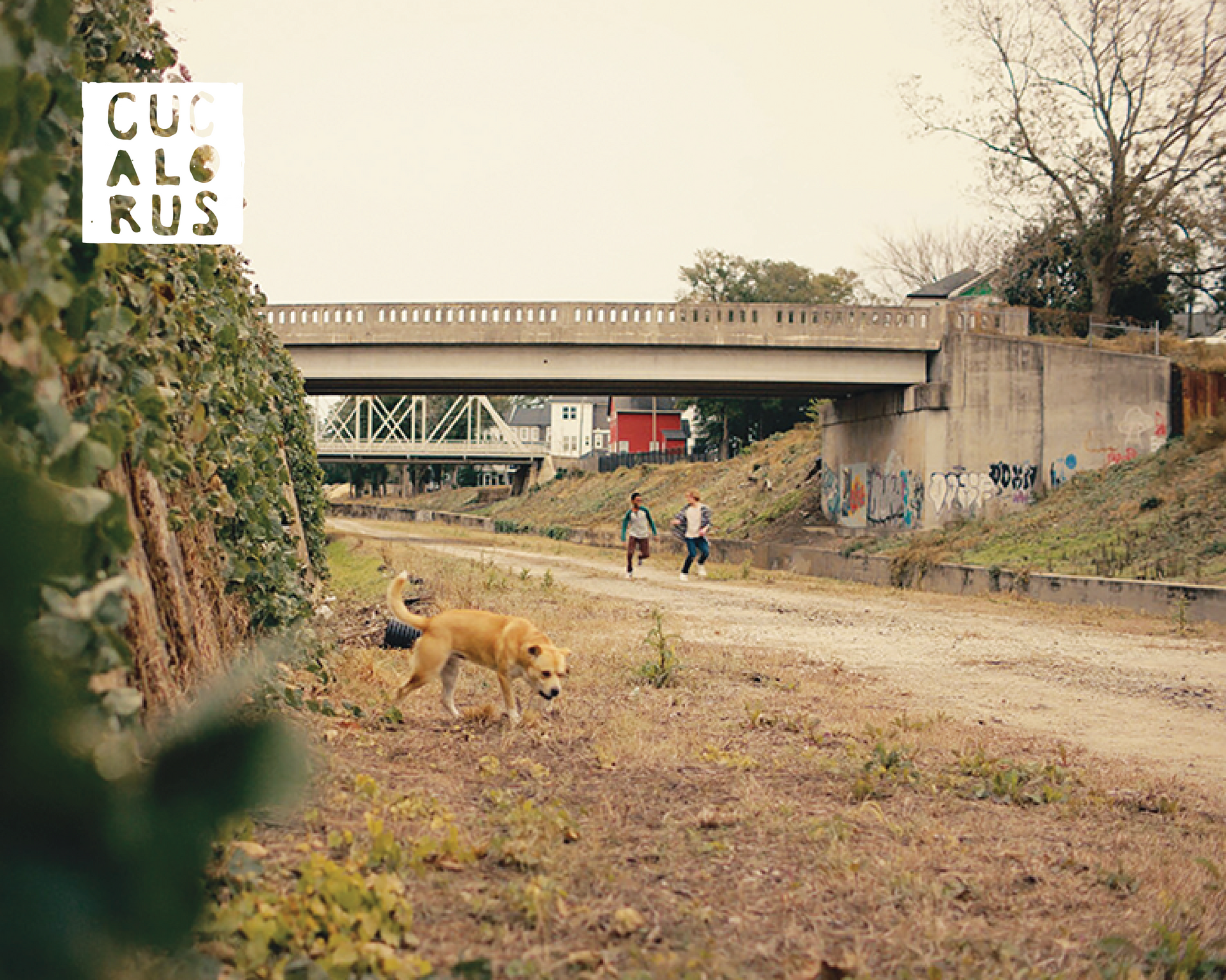 Dogs on a dirt path beneath a concrete overpass in a rural area, with people walking in the distance.