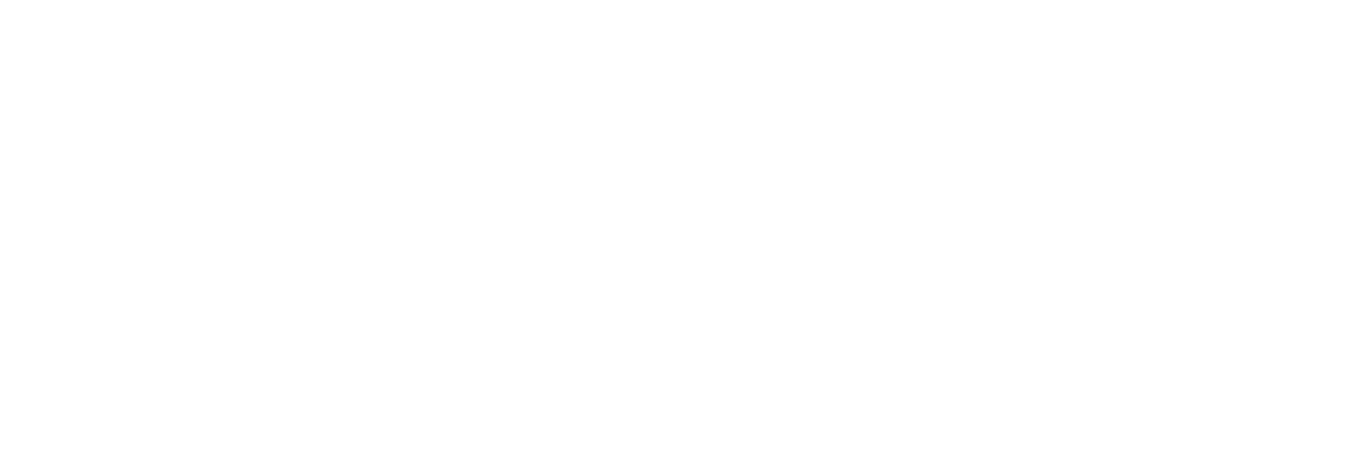 Bundox Safari Co. logo with an orange text and a cheetah illustration in the letter