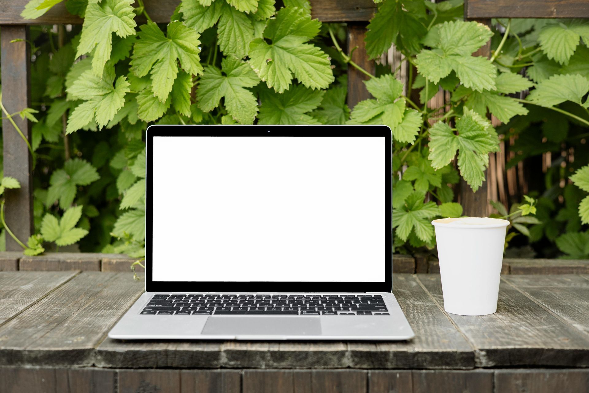 Open laptop and cup on an outdoor table. There is greenery in the background