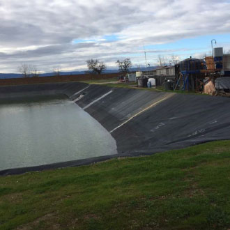 pond