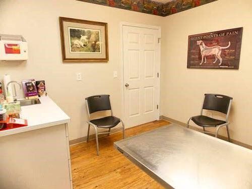 Veterinary Office — East Bend, NC — Grandview Animal Hospital