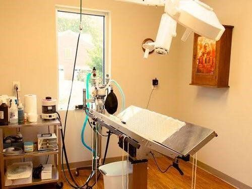 Veterinary Medical Room — East Bend, NC — Grandview Animal Hospital