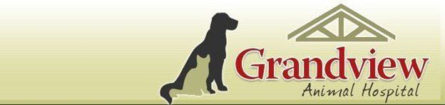 Grandview Animal Hospital Grandview Animal Hospital