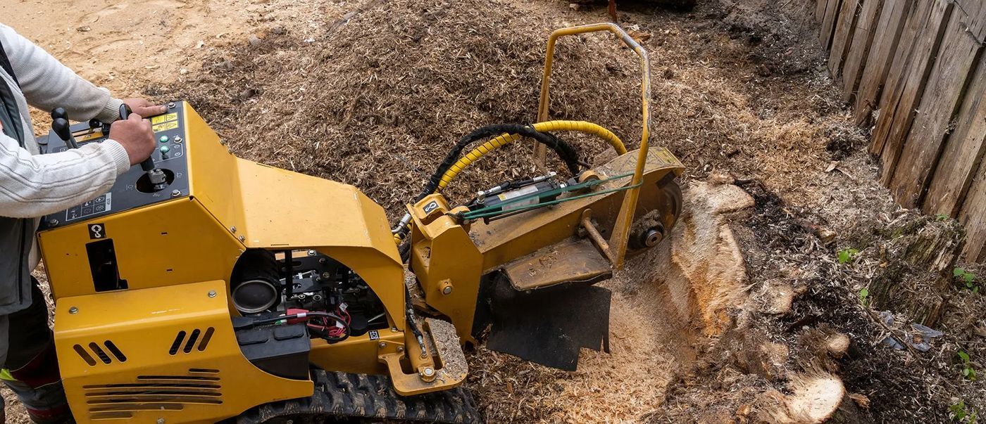 A man is using a machine to remove a tree stump.
