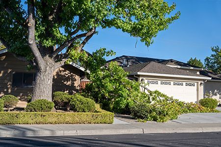 Tree branches fallen onto a house roof and driveway, damaged from a storm.
