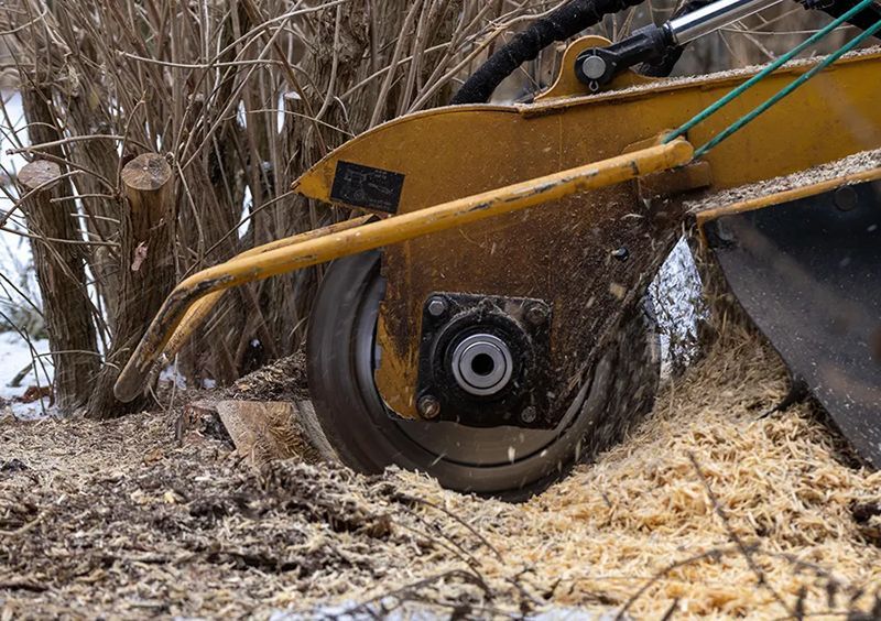 a close up of a stump grinder cutting a tree stump .
