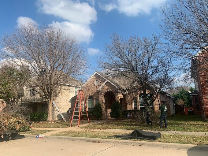 A house with a ladder in front of it and trees in front of it.