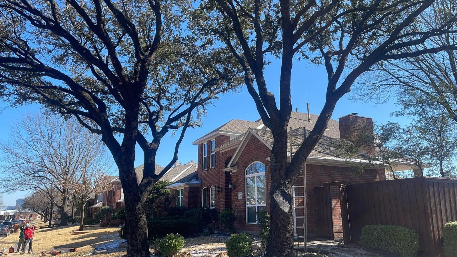 A house with a lot of trees in front of it.