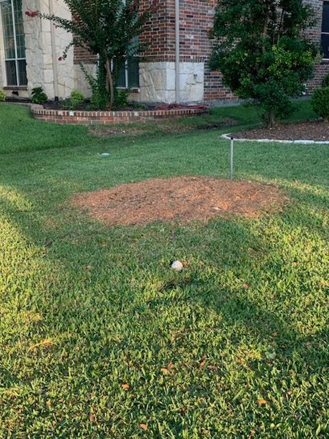 A baseball is in the grass in front of a house
