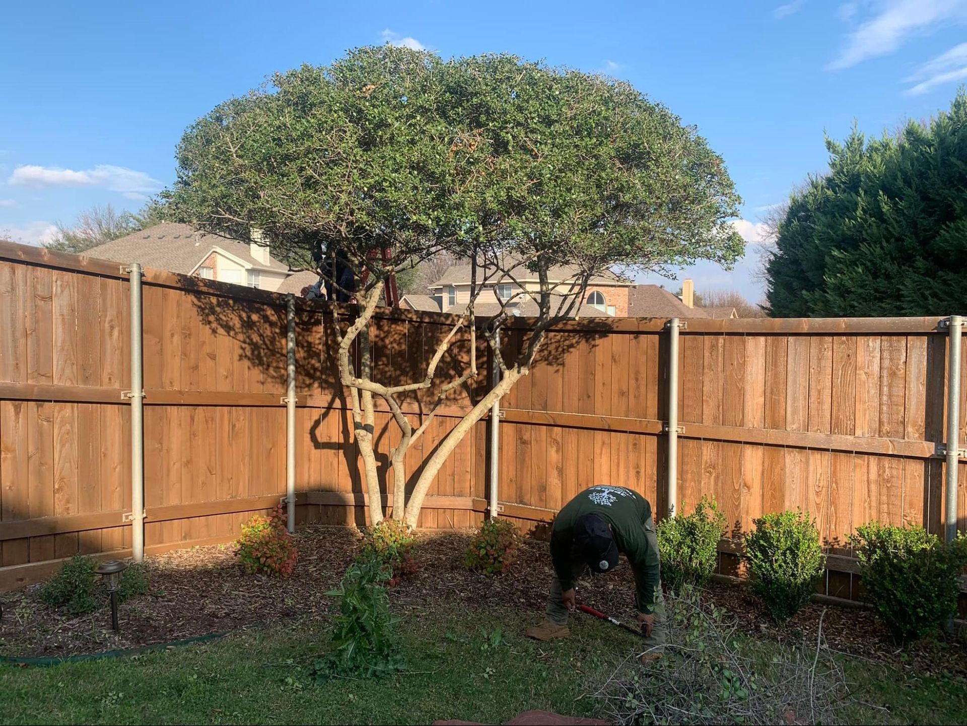 A man is kneeling in front of a wooden fence in a backyard.