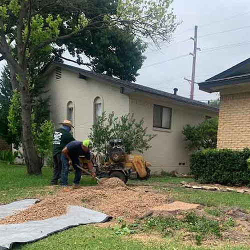 Two men are working on a tree stump in front of a house.
