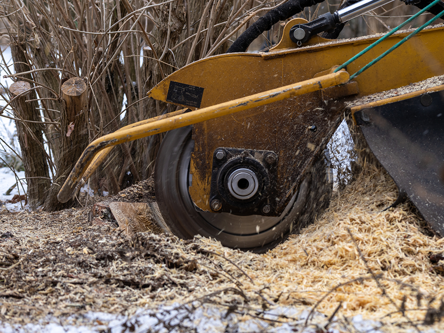A stump grinder is cutting a tree stump in the snow.