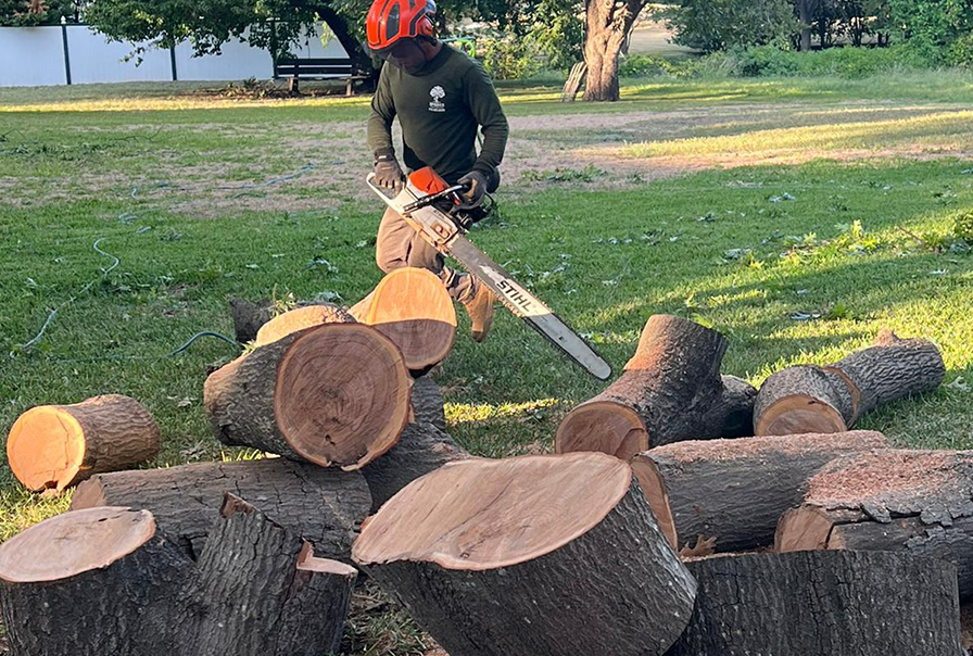 A man is cutting a pile of logs with a chainsaw.
