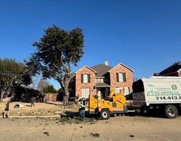 Tree service workers trimming a tree in front of a brick house with a wood chipper and truck on a sunny day.