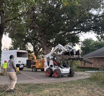 Tree removal crew using a Bobcat to move a tree branch; a chipper and truck are nearby.
