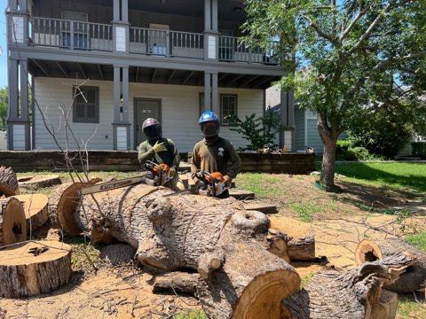Two people with chainsaws pose beside a large fallen tree trunk in front of a house.