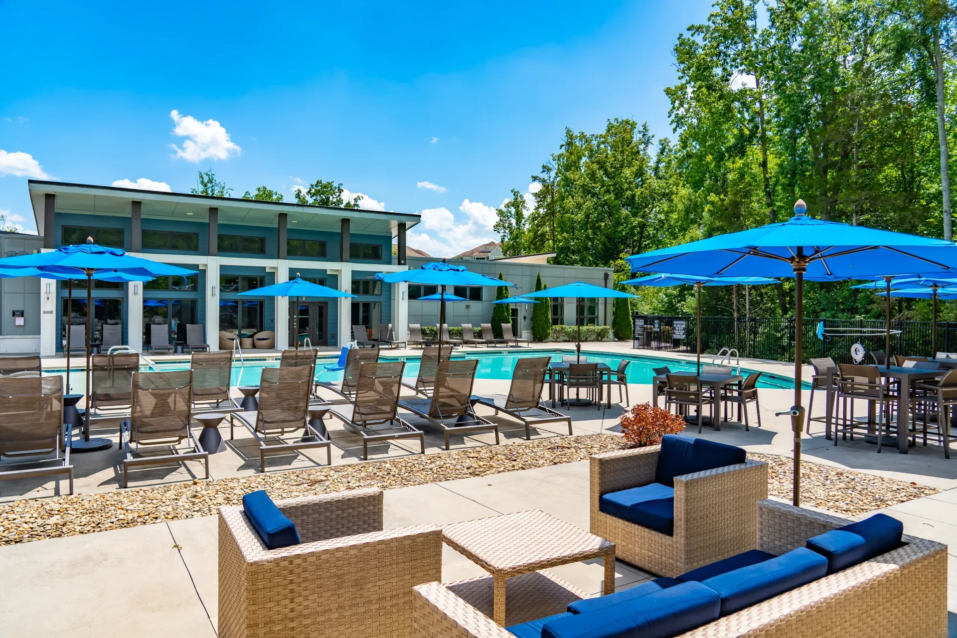 Resort-style pool with lounge chairs and umbrellas at Willows at the University in Charlotte, NC.