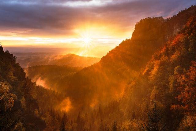 Mountain And Forest