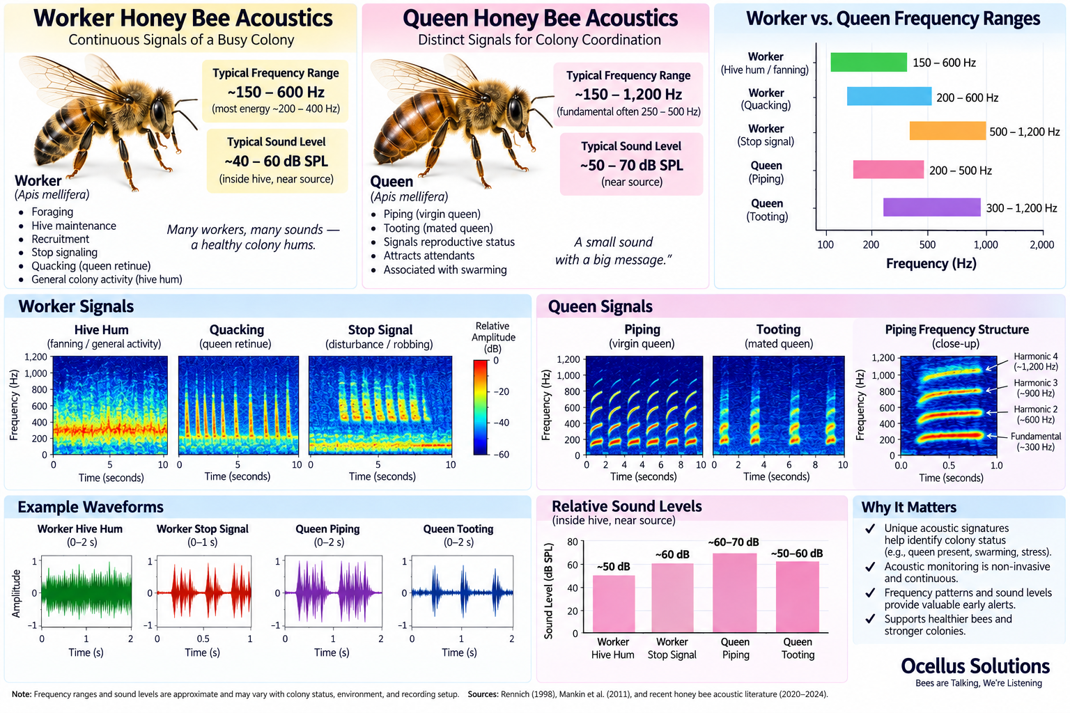 graphic representation of worker and queen bee sounds, dB, frequency, patterns