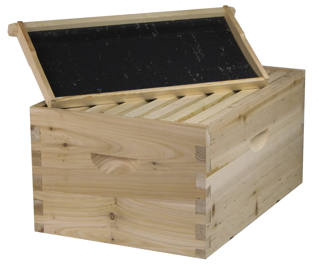 A wooden beehive with the lid open and individual frame