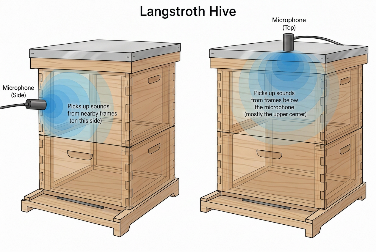 hive box showing sybolic mic pickup