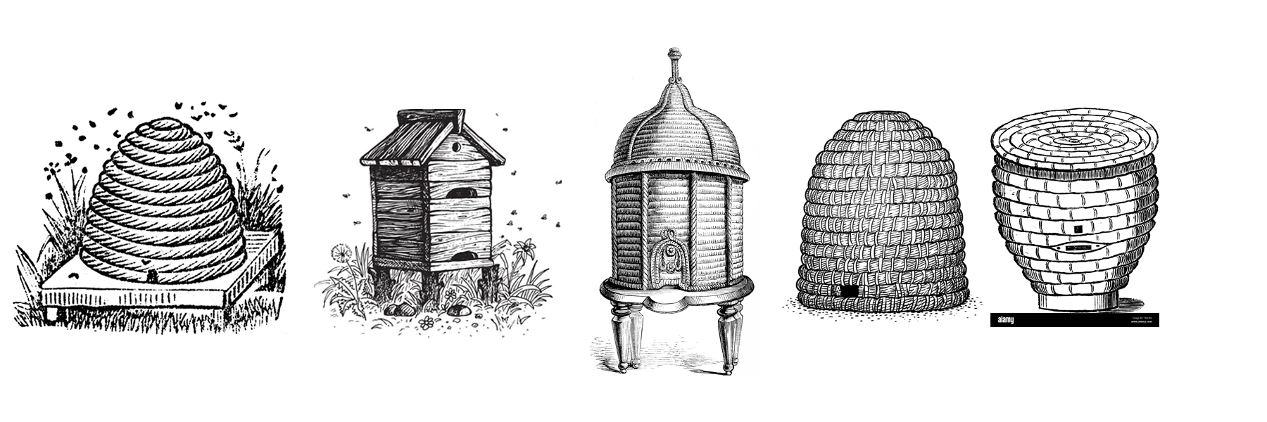 a symbolic black/white representation of different hives over history