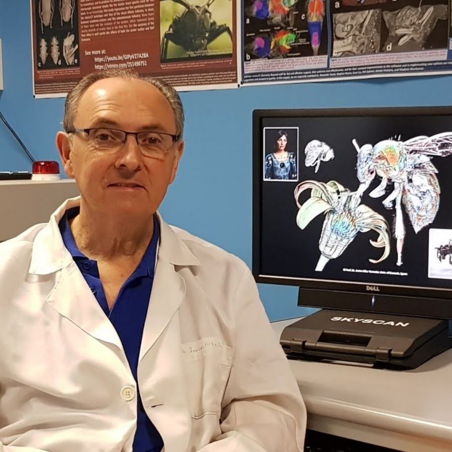 Dr Javier Alba-Tercedor, Professor Emeritus, Zoology, University of Spain, Granada