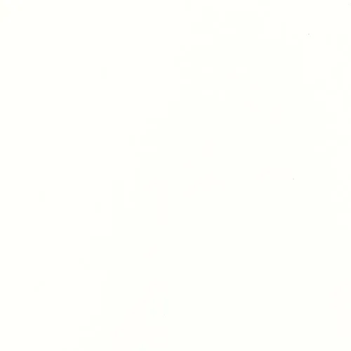 Blank white square image