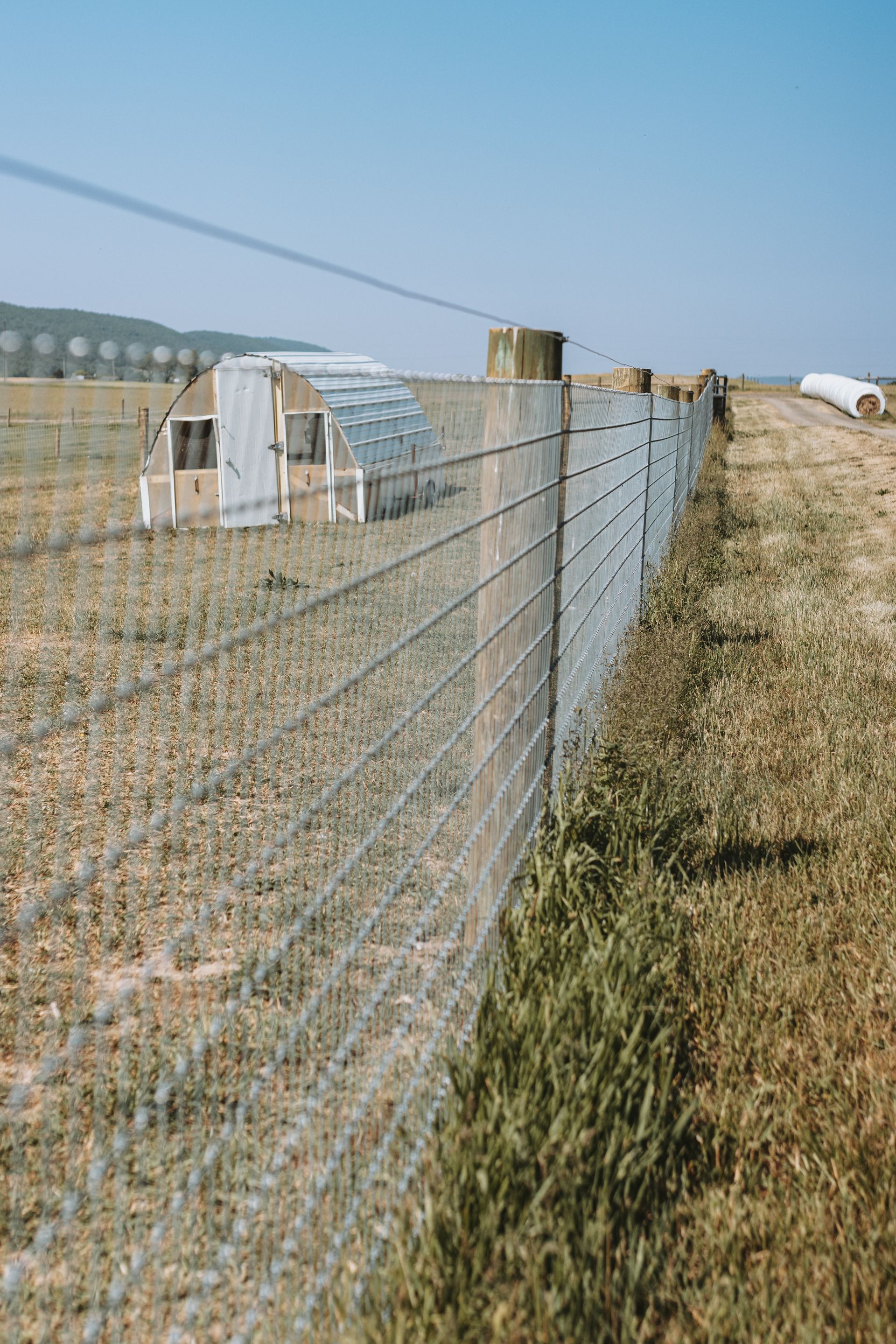 A metal fence in a field with an abandoned greenhouse and a clear blue sky.