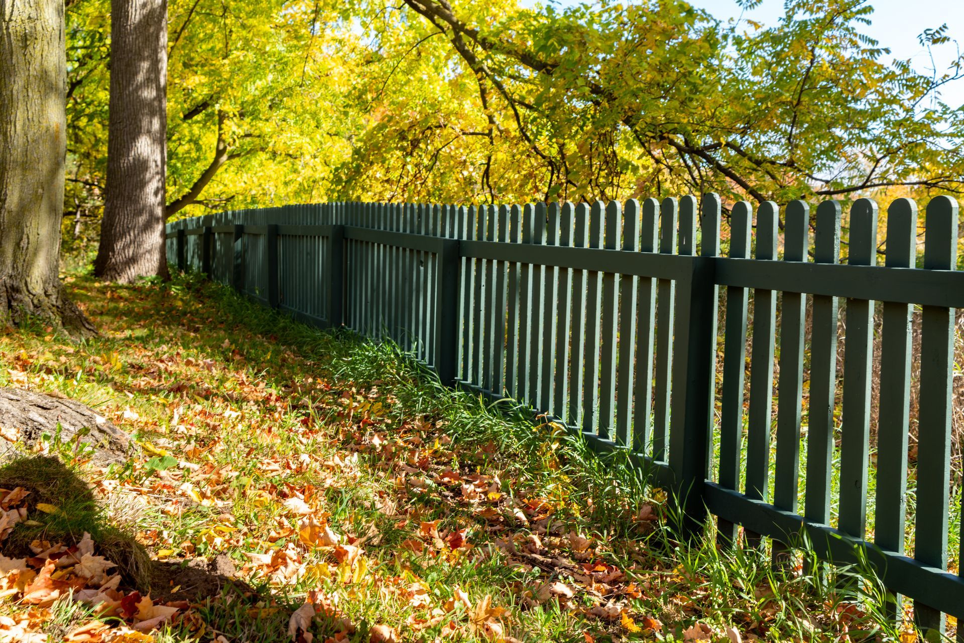 Autumn trees beside a dark wooden fence along a leaf-covered path in Central PA