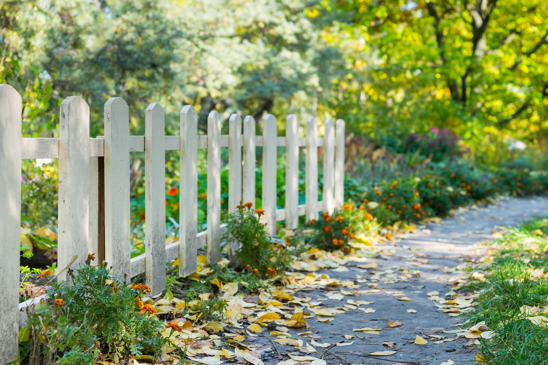 Perimeter fence in Aluminum Fence in Bellefonte