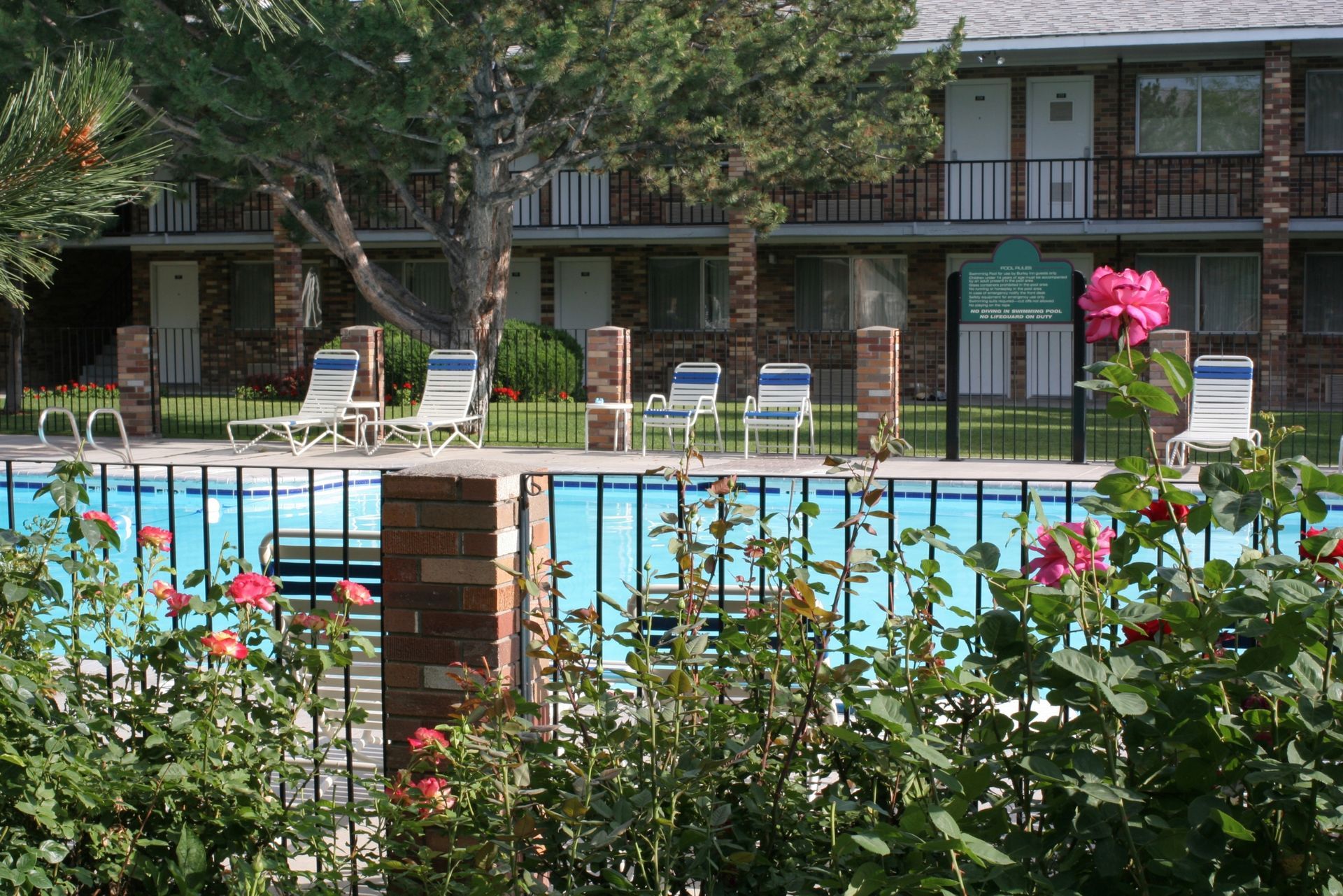 Apartment courtyard with a swimming pool, lounge chairs, and pink flowers in front of brick buildings