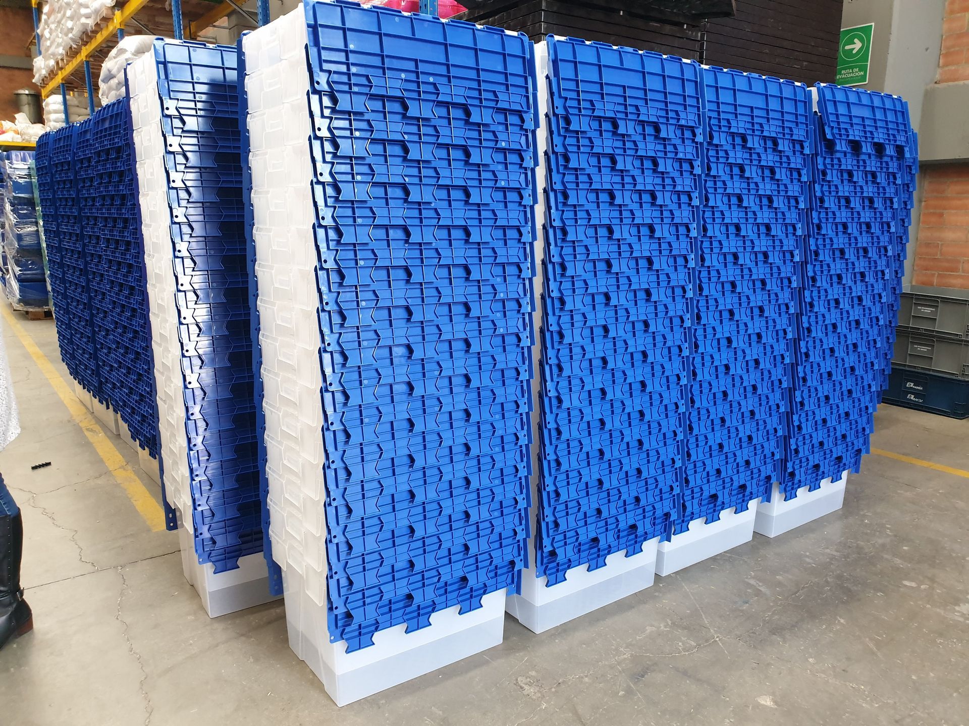 Tamaños y formas de caja de plástico con tapa Tamaños y formas de caja de plástico con tapa