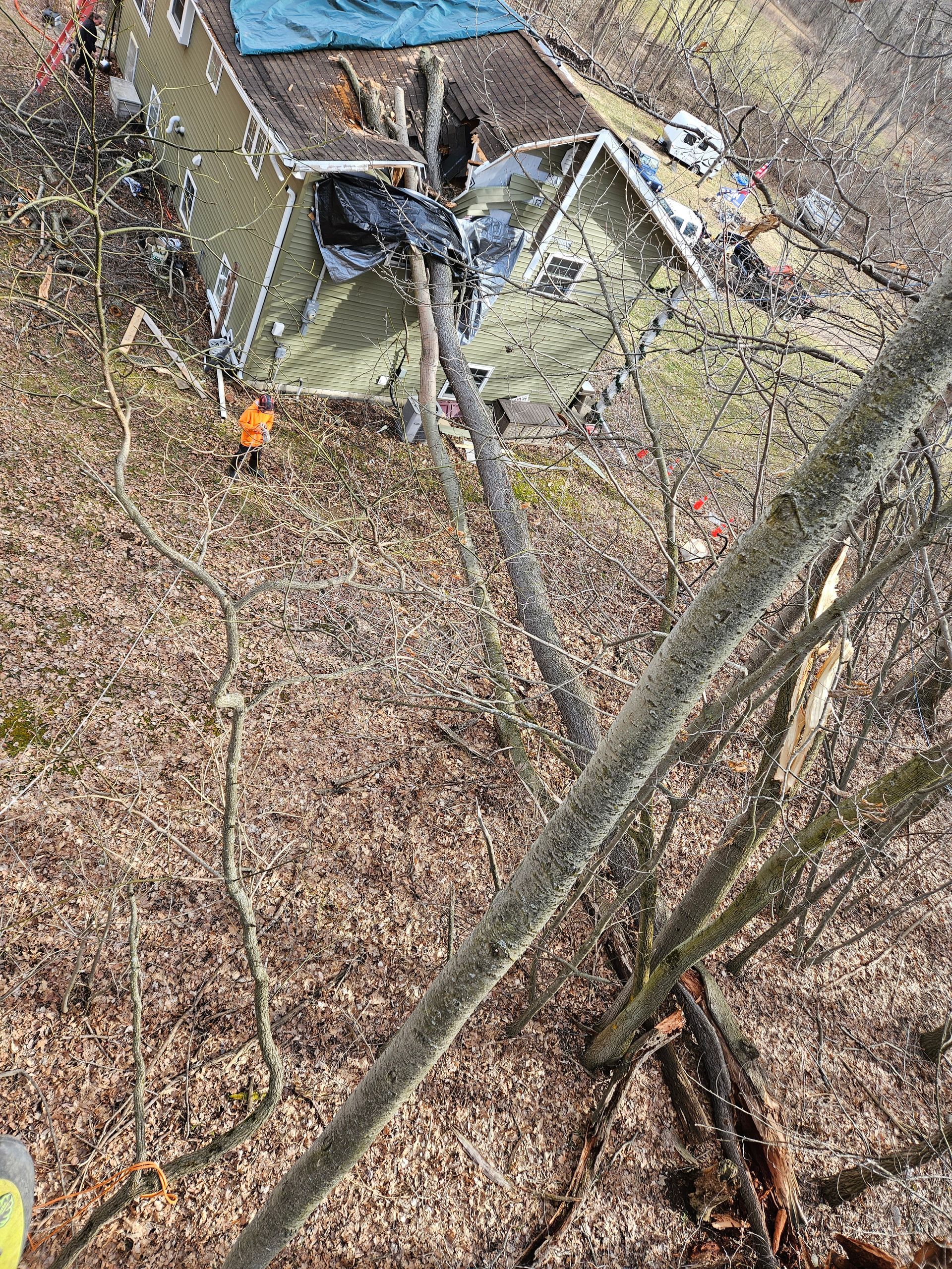 An aerial view of a house in the woods with a tent on top of it.