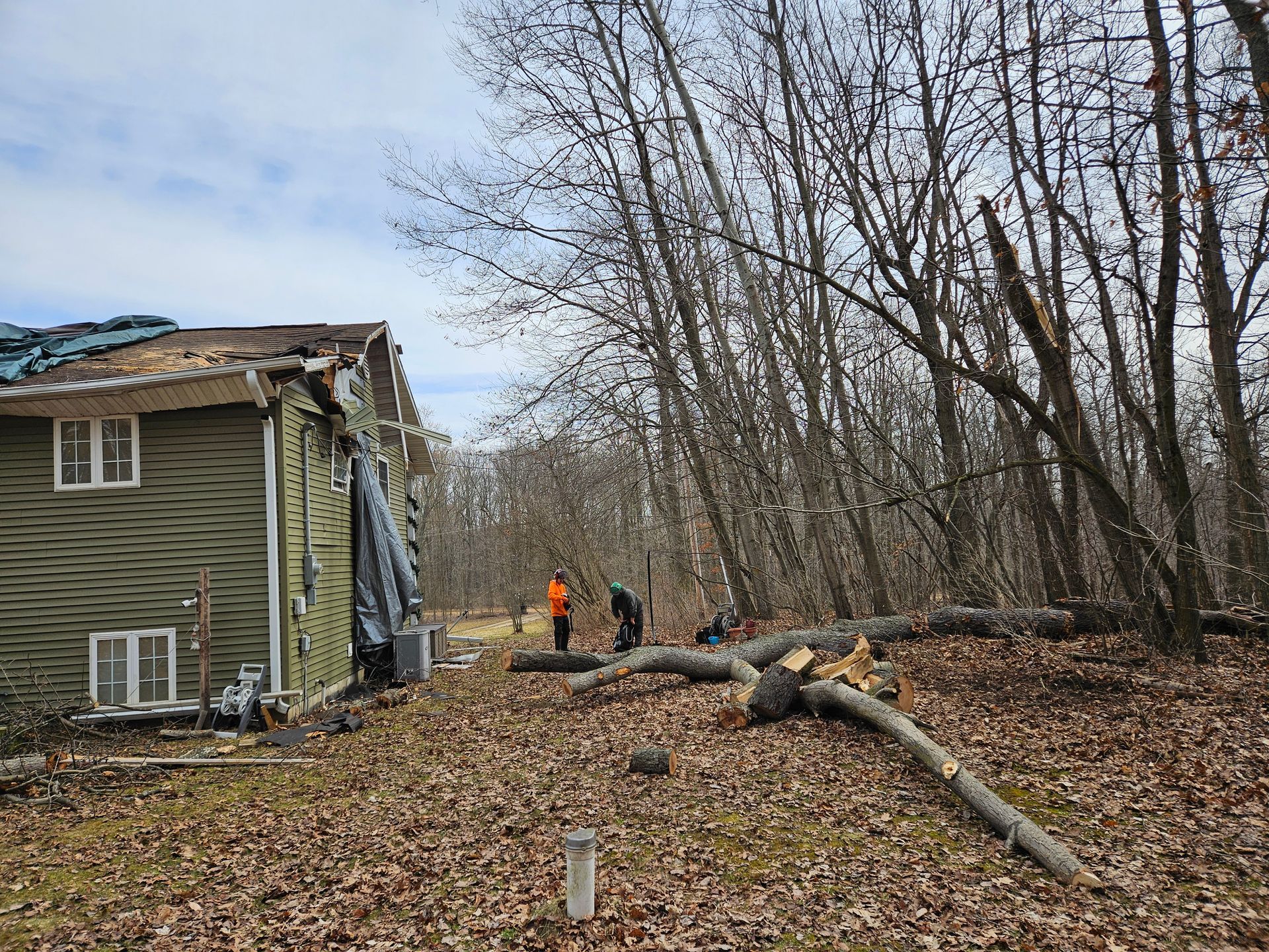 A house is sitting in the middle of a forest next to a fallen tree.