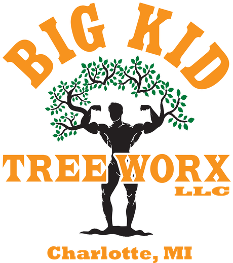 A logo for big kid treework llc in charlotte mi