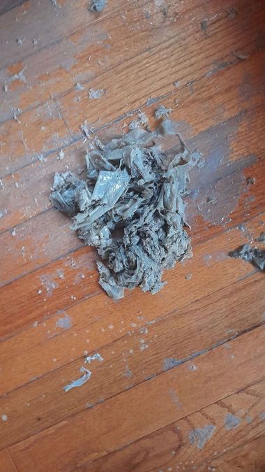 Small gray pile of debris or ash on a worn wooden floorboards.