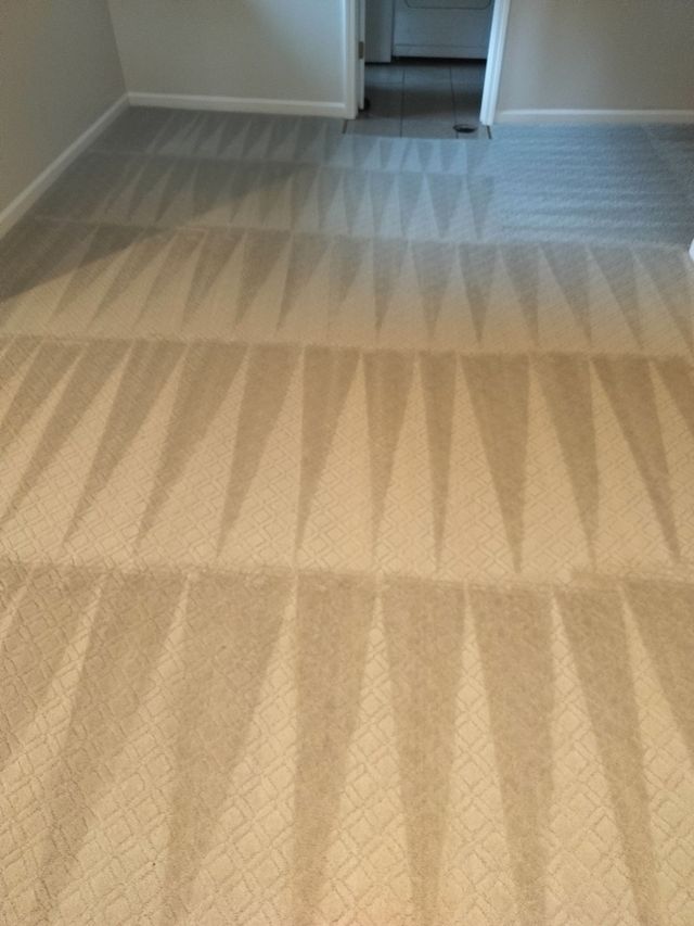 Carpet steam cleaning service