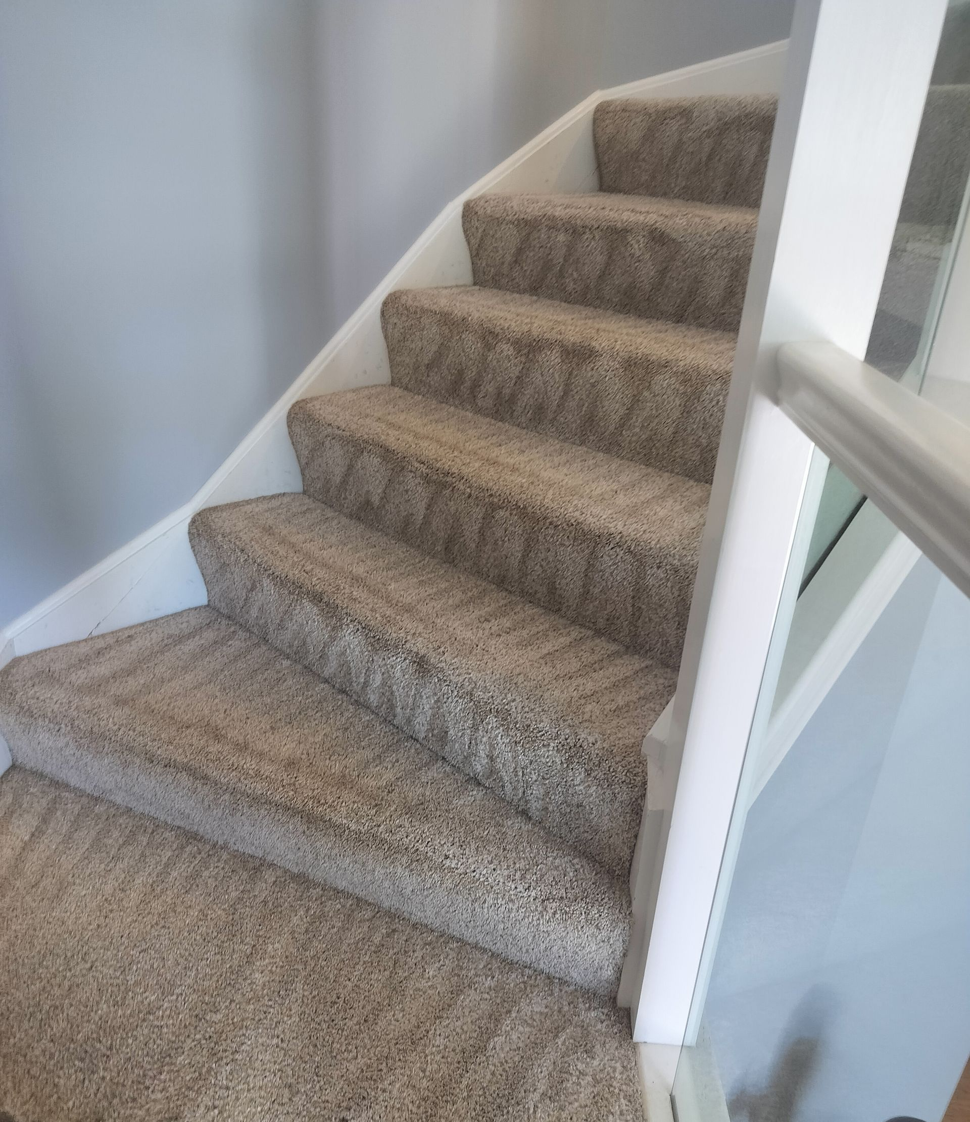 Carpeted staircase with white railing in a home interior