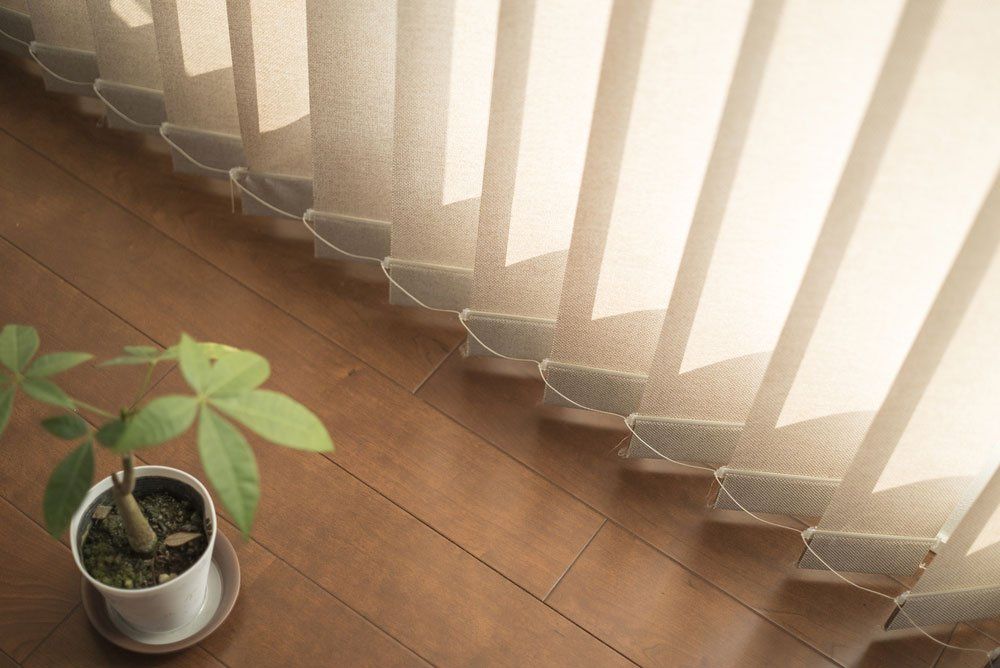Plant and blinds — Blind Cleaning in Tweed Heads, NSW