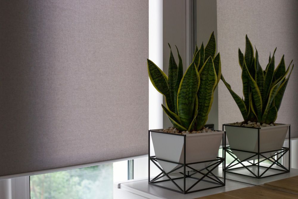 Motorized Roller Shades — Window Furnishing Services in Tweed Heads, NSW