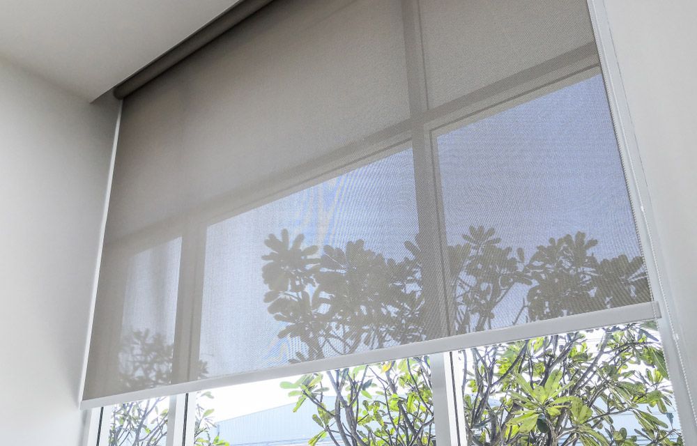 Roll Blinds on the Windows — Window Furnishing Services in Currumbin, NSW