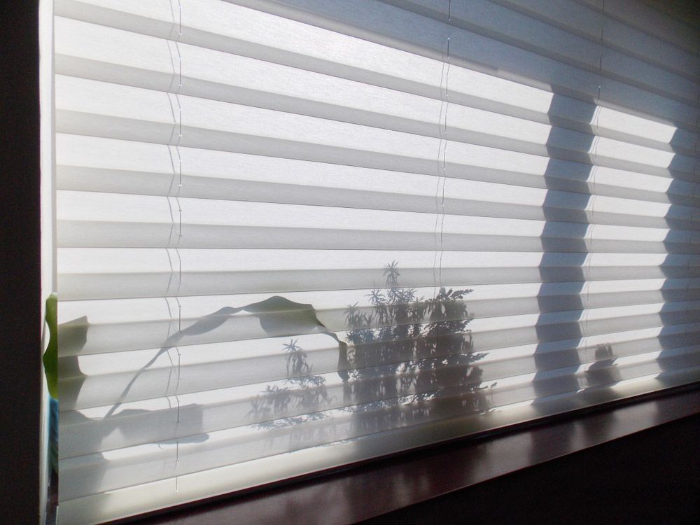 White Pleated Blinds — Window Furnishing Services in Kingscliff, NSW